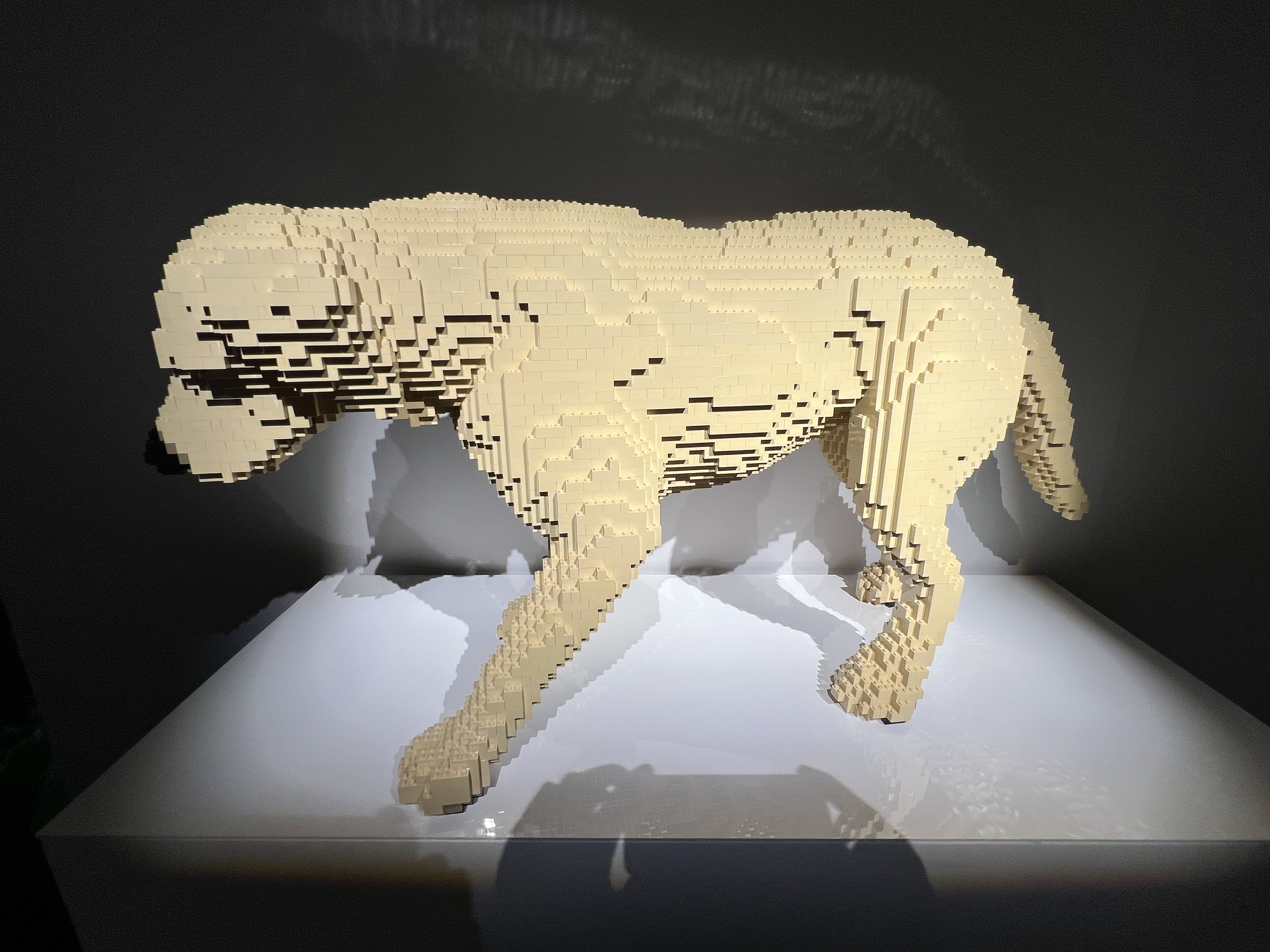 ./2023/07 - Art of the Brick/IMG_9580.JPG